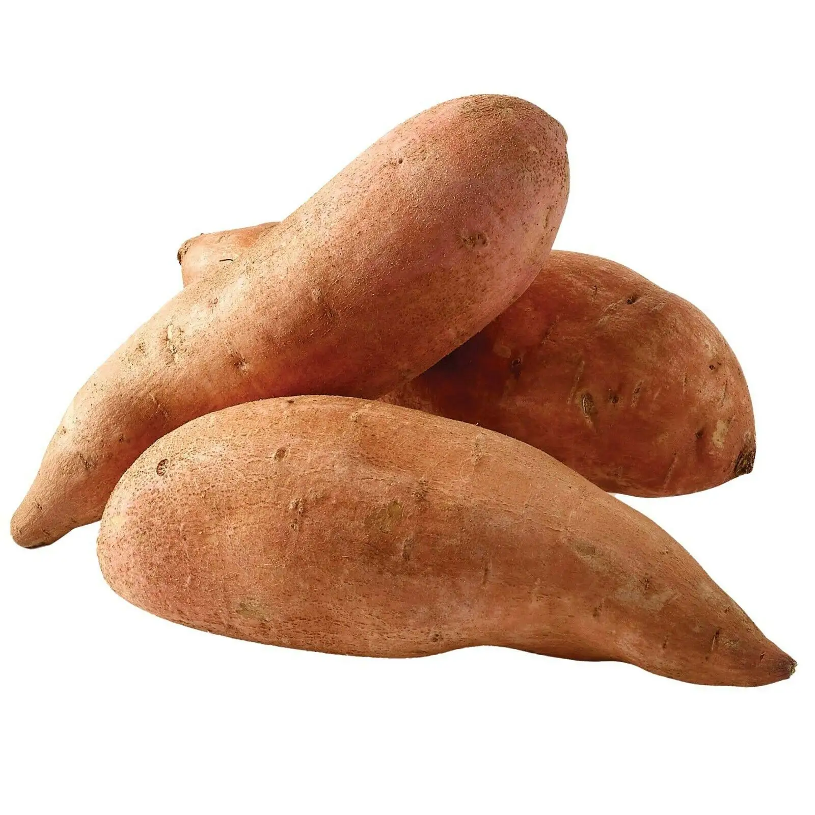 Fresh Sweet Potato / Sweet Potatoes