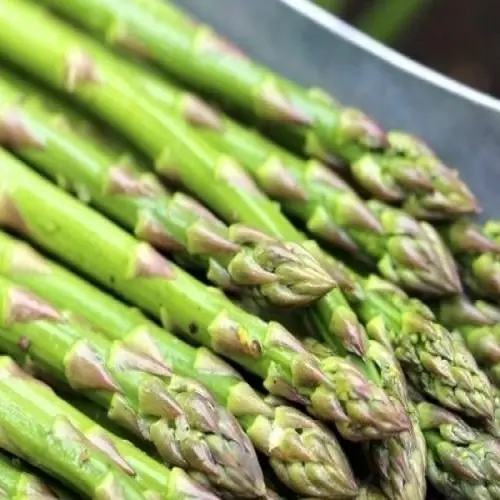 Fresh Asparagus