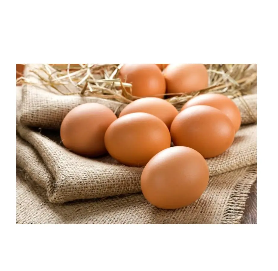 Top Grade Fresh Eggs Wholesale Price Fresh Eggs