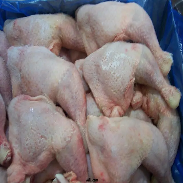 Brazilian Chickens Frozen HACCP HALAL Frozen Whole Chicken and Parts, Gizzards , Thighs , Feet, Paws, Drumsticks