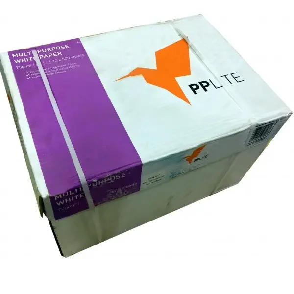 Wholesale Original PPC A4 Copy Paper 70/75/80 GSM & Pp Lite Copy Paper For Sale