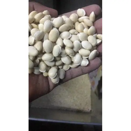 Large White Lima Bean for sale