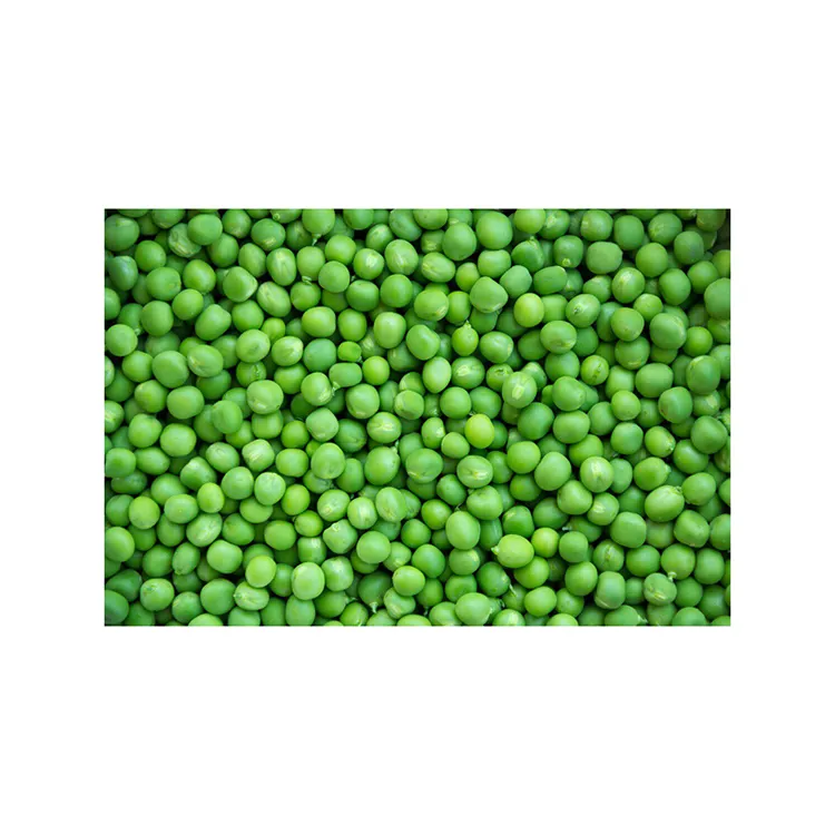 Top quality organic natural high nutrition green peas grain in bulk for healthy eating, agriculture products