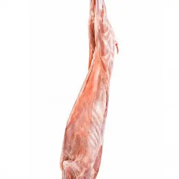 Best Grade Whole Frozen Lamb Carcass