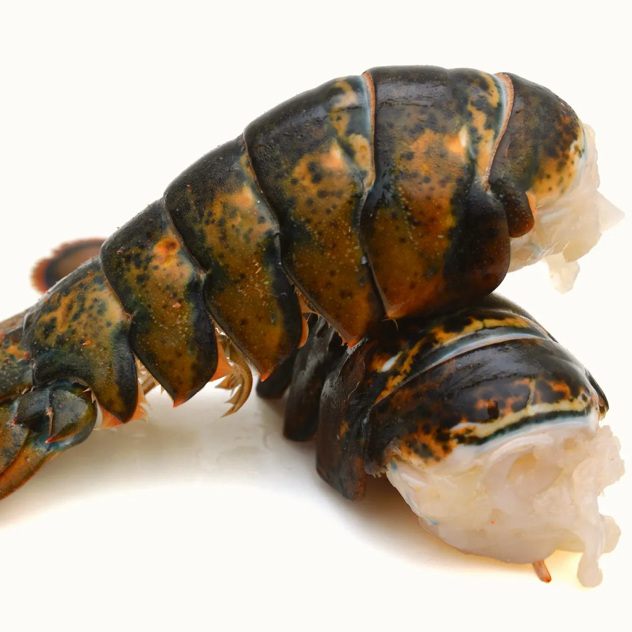 Frozen Raw Rock Lobster Tails Shell-On