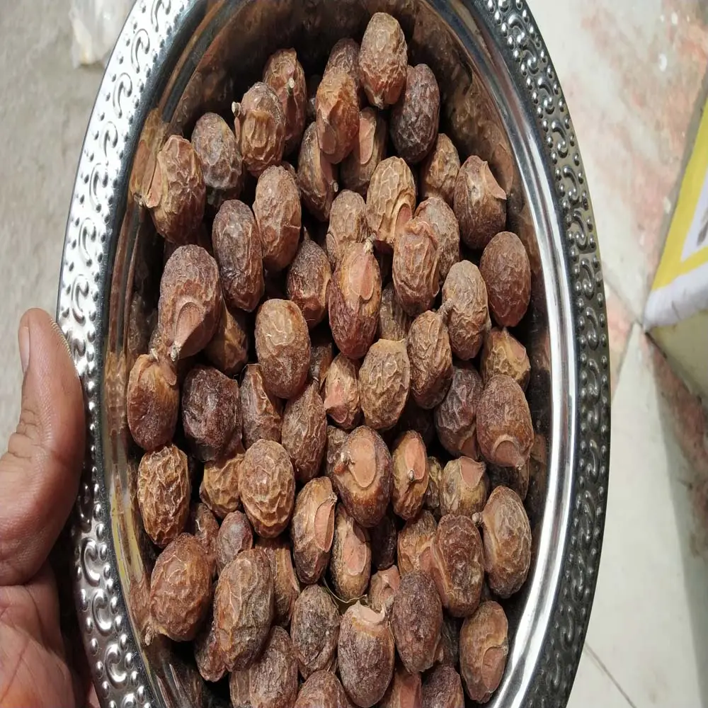 Organic soap nuts with out seed for sale