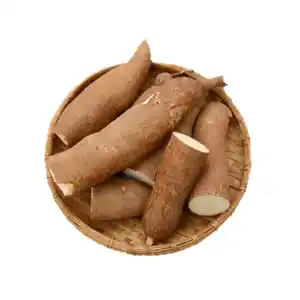 Top Quality Organic Fresh Cassava for Sale