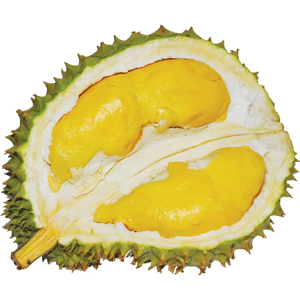 Fresh Durian monthong ri6 vietnam with standard quality best price VIETGAP certification for export competitive price