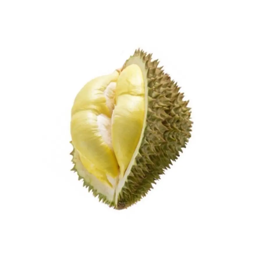 GMP Certification Common Cultuvation Type Durian fresh durian from Thailand export from Thailand