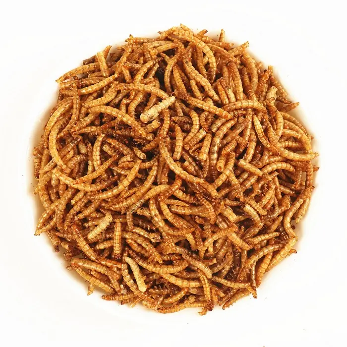 Best Quality Dried Yellow Mealworm for feeding in 50kg bags Mealworms for sale/dried and live yellow worms