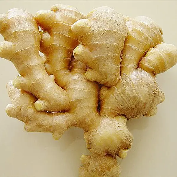 Premium Quality GAP Old Fresh Ginger, Young Fresh Ginger