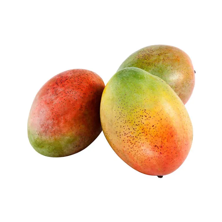 100% Natural Healthy and Nutritious Fresh Fruits Mangoes for Bulk Purchase