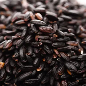 Soil Green Food Rich Nutrition Organic Black Rice