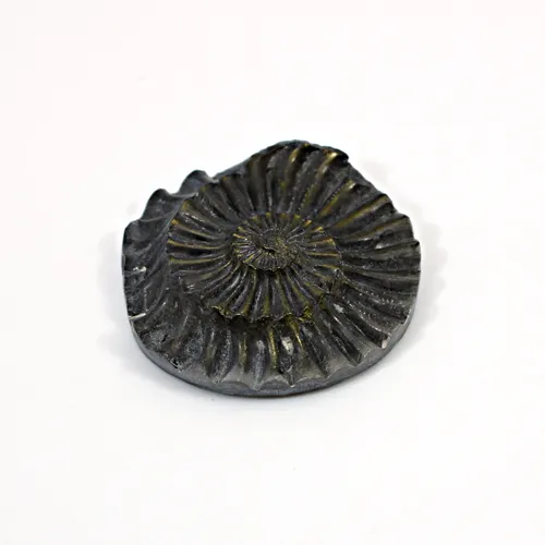 Натуральный аммонит золото Железный Пирит 31x30 мм 48,50 Cts свободный драгоценный камень для изготовления ювелирных изделий