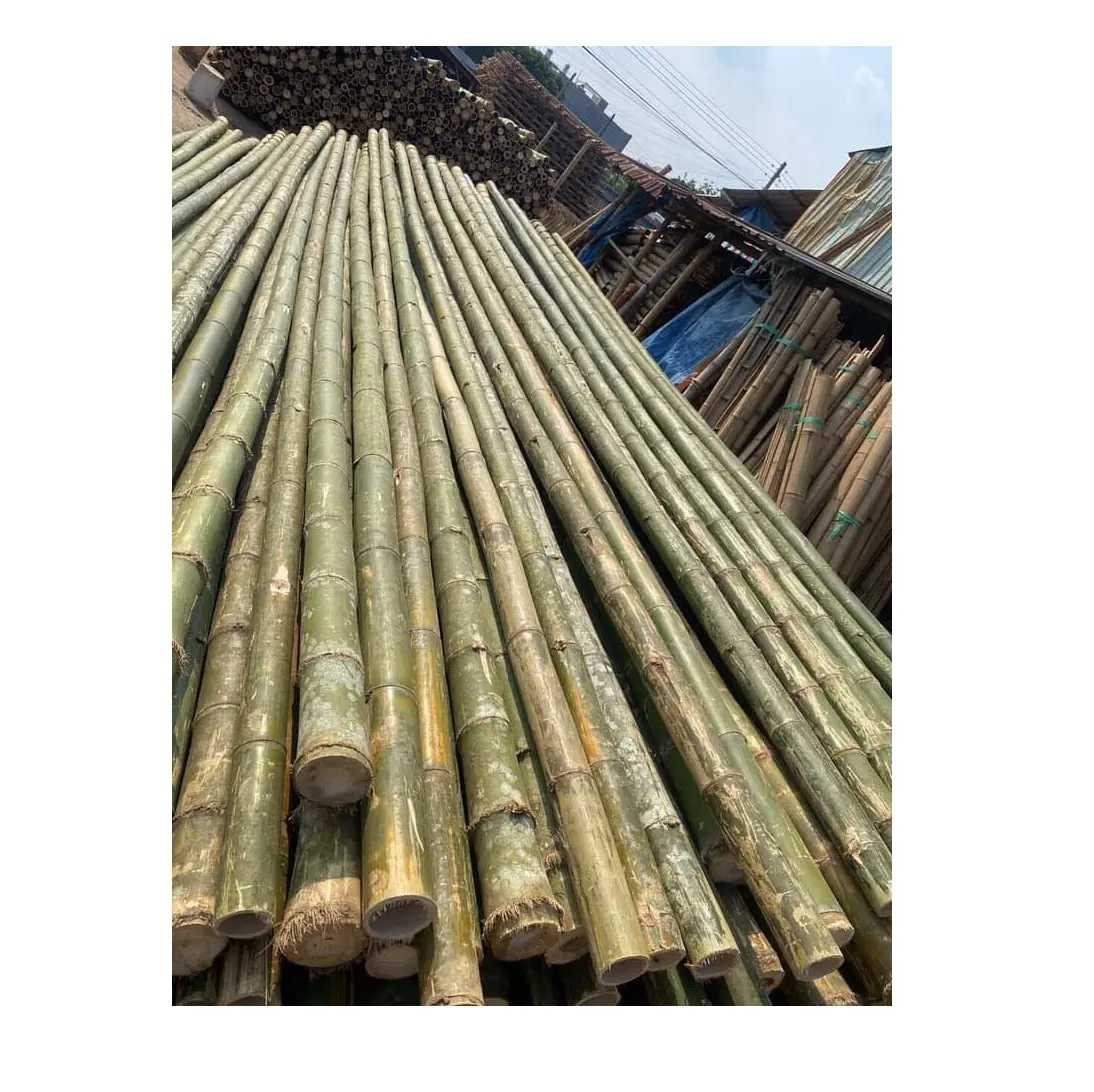 Бамбуковое сырье непосредственно от фермеров для бамбуковой мебели, низкая цена