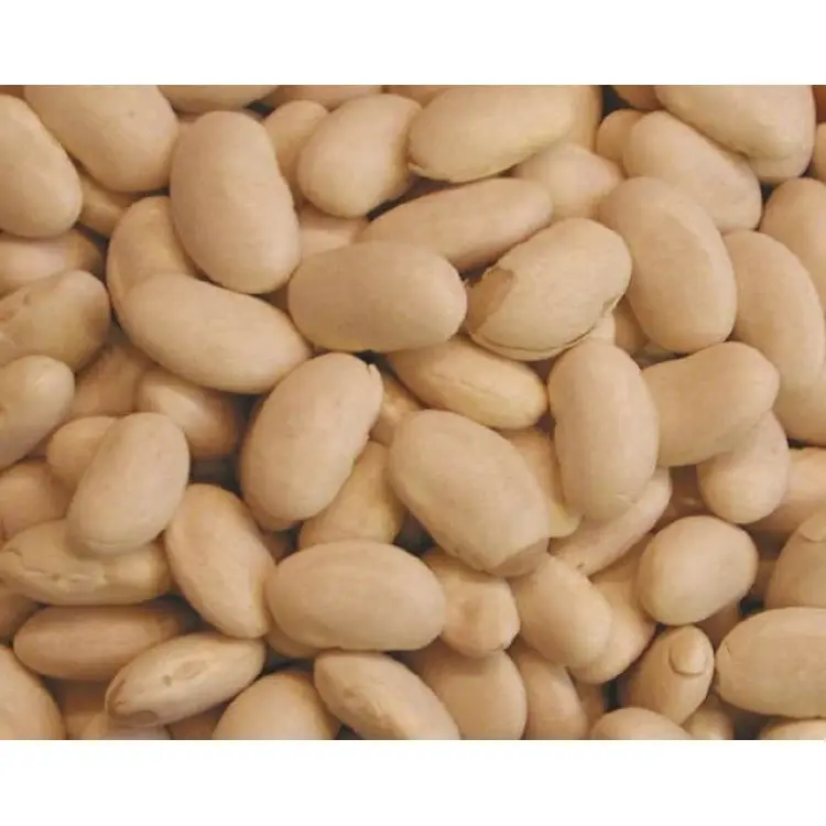 White Beans -BEST QUALITY, BEST PRICES (SPICES LAND FOR EXPORT)