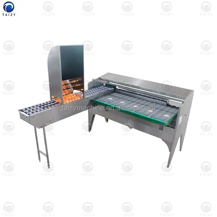 4000pcs/h Egg Grader Egg Sorting Machine egg printing machine