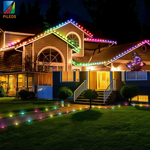 Гирлянда с пиксельным модулем GS8206 TM1914 RGB24V IP68, водонепроницаемая, ИС, полноцветная, уличная, Рождественская, праздничная, светодиодная, Пиксельная лампа