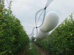 HDPE chống <span class=keywords><strong>Hail</strong></span> <span class=keywords><strong>Net</strong></span> cây ăn quả chống <span class=keywords><strong>Hail</strong></span> lưới Vườn Nho chống <span class=keywords><strong>Hail</strong></span> lưới - Product Image 6