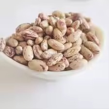 热销高品质100克斑豆280 320豆包装散装出售