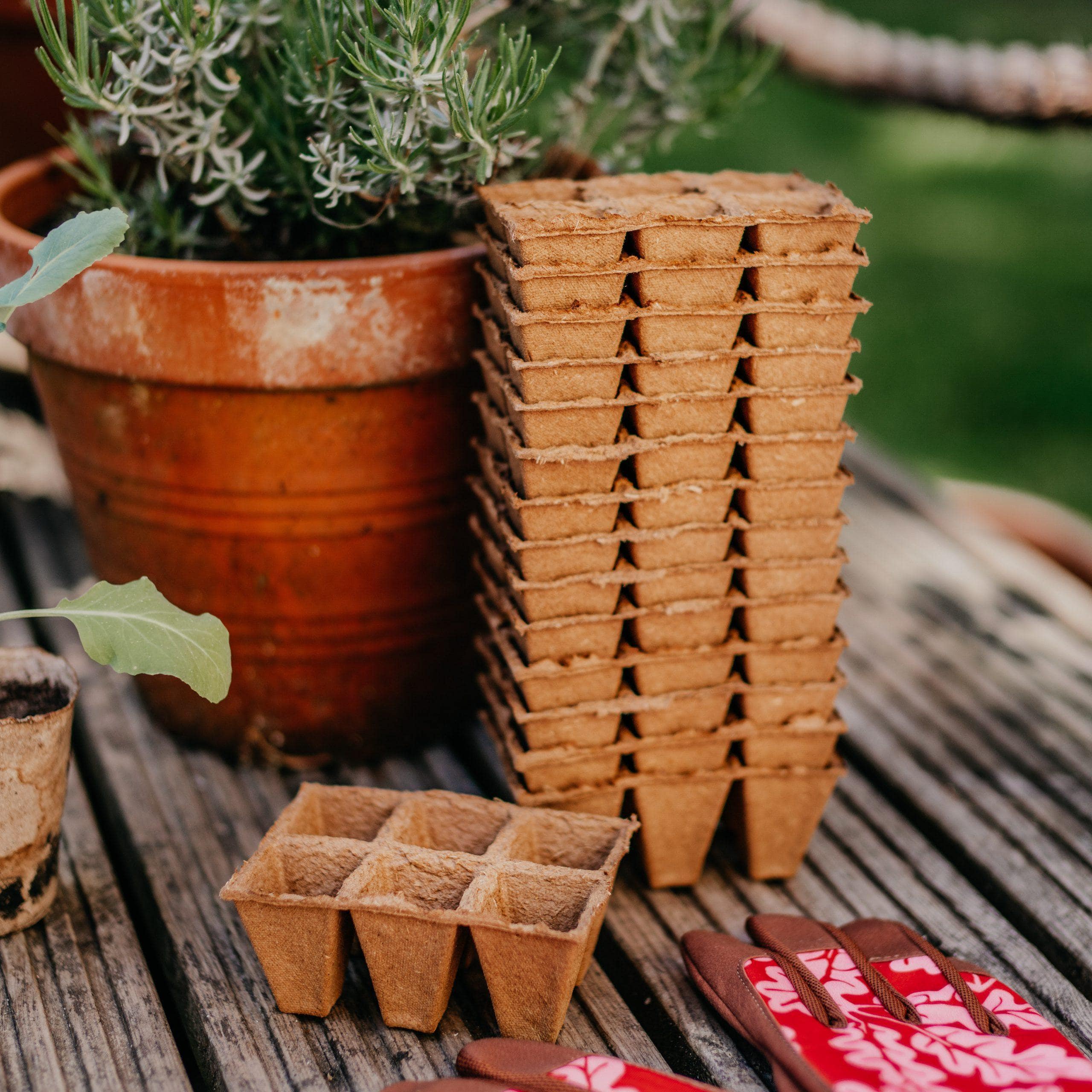 ธรรมชาติ