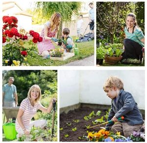 แถบทดสอบค่า <span class=keywords><strong>pH</strong></span> ของดินสำหรับการเพาะปลูกสวนลานลานเครื่องวัดค่า <span class=keywords><strong>pH</strong></span> 3.0-แถบทดสอบ9.0ของใช้ในครัวเรือนง่ายและรวดเร็ว - Product Image 6