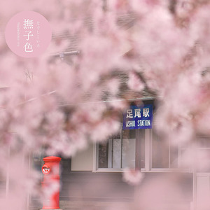&quot;Shikisai Encyclopedia&quot; a Pictorial Book That Expresses the Four Seasons of <strong>Japan</strong> in Colors - Product Image 4