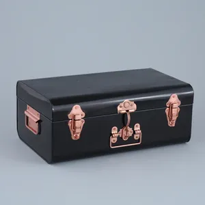 Özelleştirilmiş tasarım Premium kalite Metal gövde saklama kutusu Bin ev giysi saklama kullanımı için toptan ucuz fiyat düşük adedi - Product Image 6