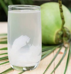 越南低价冷冻椰子水批量出口