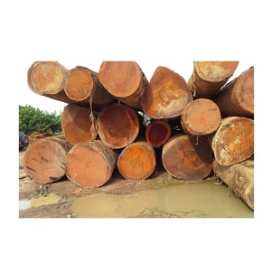 Meranti logs-ส่งตรงจากป่าราคาขายส่ง - Product Image 1