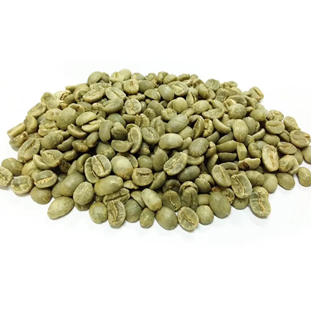 최고의 가격 Robusta 커피 녹색 콩 베트남 커피-전체 세척 SCR18 학년 1