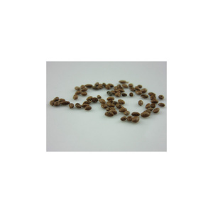 輸出市場向けの種子入り高品質のドライキウイフルーツ - Product Image 1