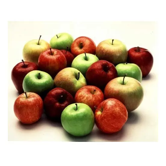 Kaliteli olmayan gdo taze sezon meyve tüm tip taze elma toptan fiyata toplu taze stok mevcut hızlı teslimat