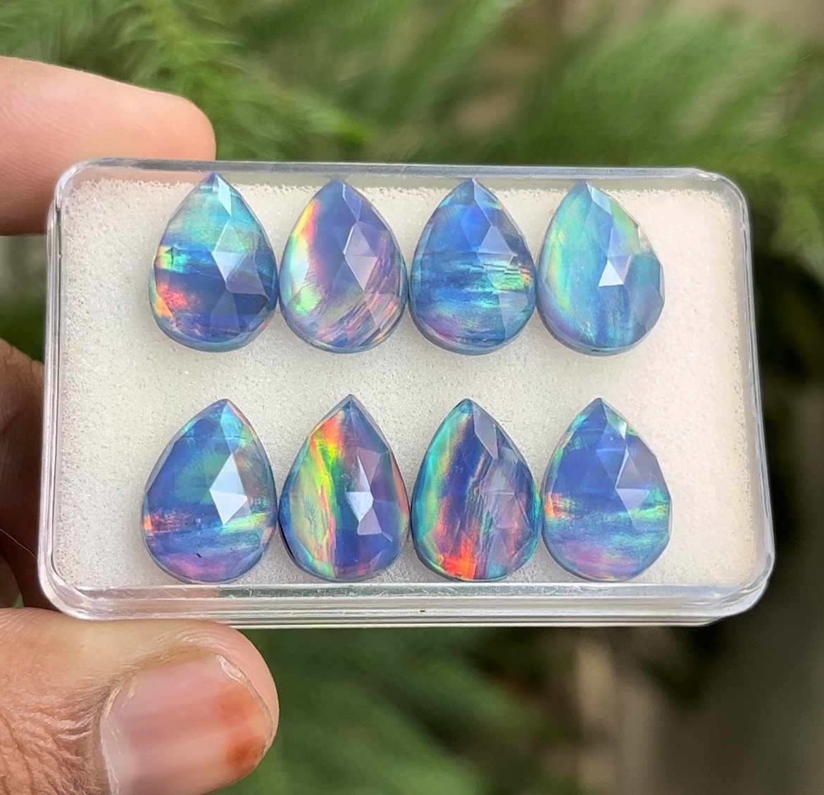 Multi