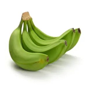 Top Selling Customized green fresh Banana good price 100% Natural green cavendish bananas