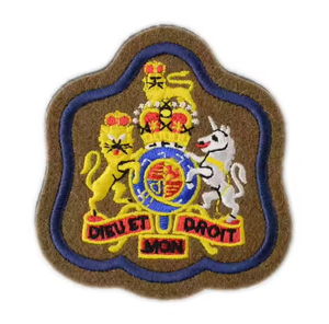 Takım işlemeli spor yamalar için makine nakış rozeti özel 3d işlemeli Logo - Product Image 5