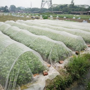Red de plástico antiinsectos agrícola de HDPE para protección de invernadero con servicio de corte - Product Image 5