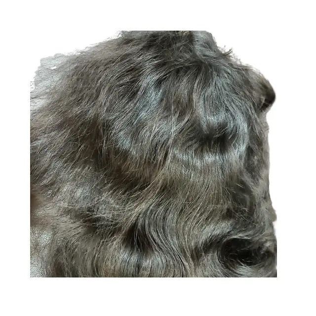 खरीदें फीता सामने विग रेमी HD फीता Wigs प्राकृतिक लहराती काले रंग भारतीय मानव बाल थोक कीमतों के साथ बिक्री के लिए
