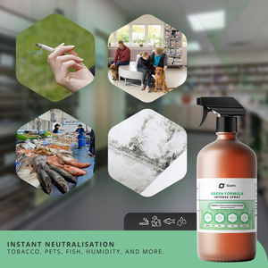 Intensiver Spray-Geruchsneutralisierer Grüne Formel Lufterfrischer-Konzentrat für Tabak-, Haustier-, Fisch- und Feuchtigkeitsgerüche - Product Image 3