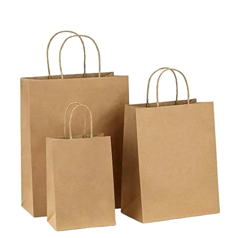 Sacs en papier Kraft naturel imprimable en vrac avec poignées torsadées fabricants de sacs en papier Kraft inde sacs à provisions en papier USA