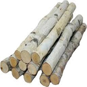 Round <strong>Teak</strong> and Pine Logs for Sale for Beech Woodworking Projects - Product Image 3