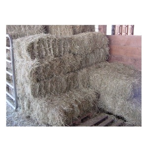 Fournisseur en gros de stock en vrac de balles de foin naturel fourrage expédition rapide
