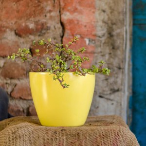 Latest Designs Of 2023 outdoor tall <strong>planters</strong> large flower pots Black Light FRP Tall <strong>Planters</strong> From Indian Exporter At Best Price - Product Image 1