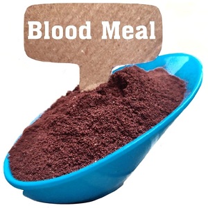 Kan unu (13-0-0) -doğal bir azot kaynağı. Kan unu, yemyeşil ve yeşil vejetatif büyümeyi teşvik etmek için idealdir. - Product Image 3