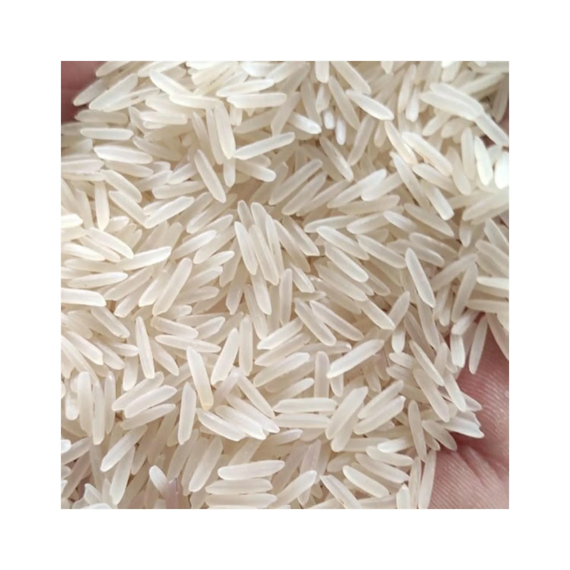Riz Long Grain Thaïlande Prix Riz Jasmin/Riz Long Grain Parfumé/riz blanc Long Grain Blanc