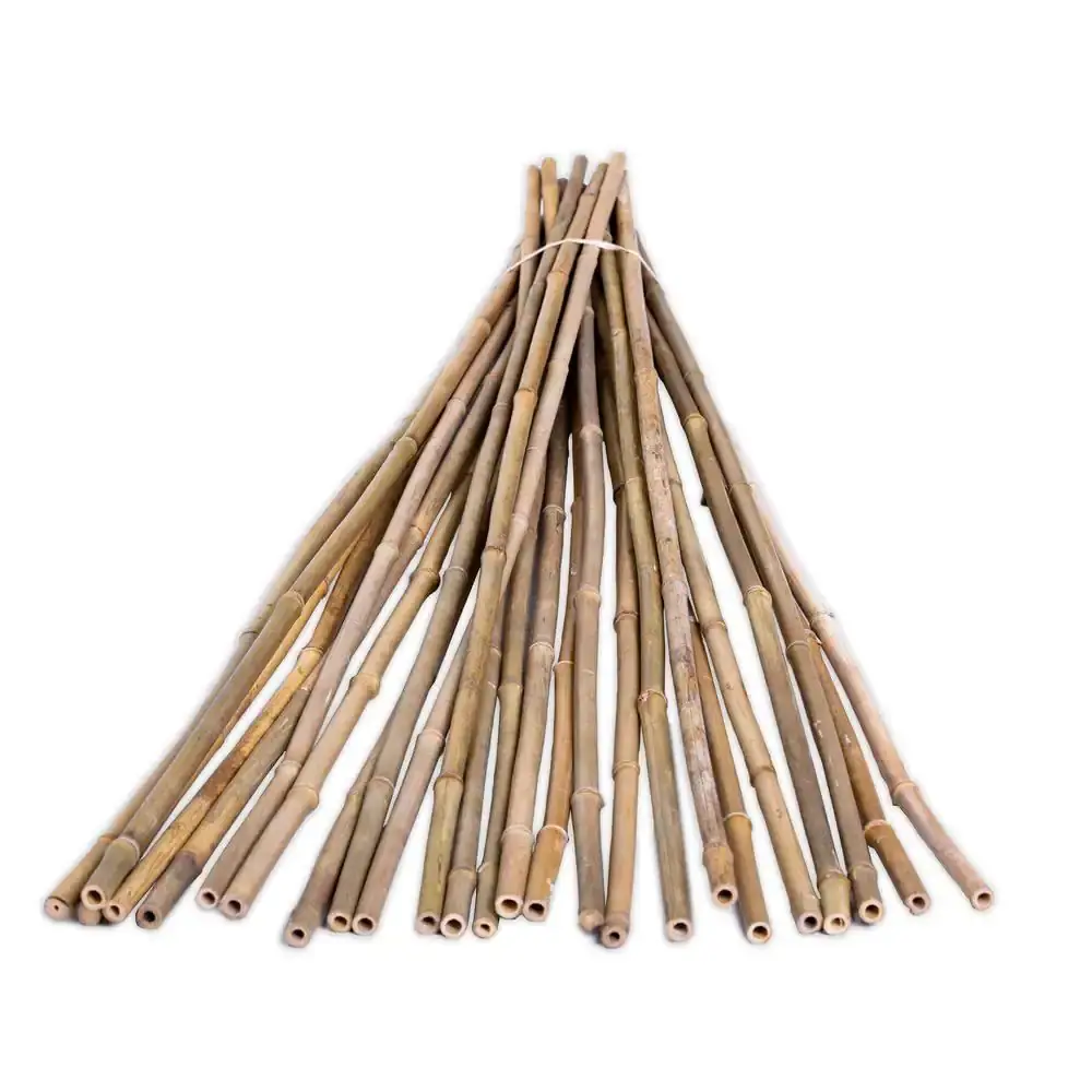 Todo o vietnã tratado materiais primas de bambu natural para construção e jardinagem pesta de bambu