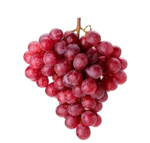 &quot;Fresh Red Grapes for Sale at Discounted Prices Packed with Antioxidants and Refreshing Taste&quot; - Product Image 6