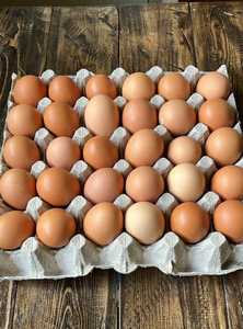 ฟาร์มไข่ไก่สดโต๊ะ สีน้ําตาลและสีขาว สด สีน้ําตาล ขาวไข่โต๊ะ / ไข่ไก่สด