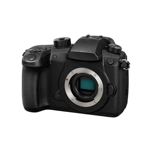 Sıcak satıcı GH5 4K 20.3MP Mirrorless fotoğraf makinesi: çift I.S. 2.0, 4:2:2 10-Bit Video, donmaya dayanıklı tasarım, profesyonel sınıf - Product Image 2