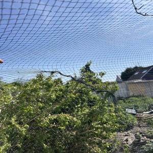 Mật độ cao Polyethylene chống <span class=keywords><strong>Bird</strong></span> Net vườn Lưới Net bảo vệ chống chim - Product Image 5